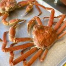 한다리마을 | 영덕 대게 맛집 내돈내산으로 또 가고 싶은 대게마을 후기