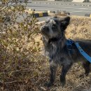 써니의 식탁 | 임산부 비타민 D 추천, 닥터에디션 써니디 드롭스 1000IU 후기(피검사 수치 낮음)