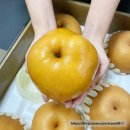 소문난 야채과일 이미지
