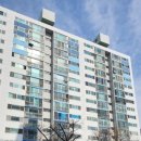 하단동114 이미지