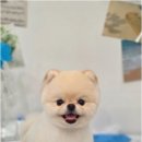 와르아르 네이버블로그