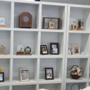 (주)젠틀펫 이미지