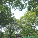 진주성관리사무소 | 진주성 경상남도 갈만한곳, 경남 갈만한곳 방문 후기
