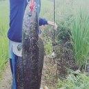 재효 카카오 검색결과