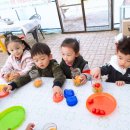 다살이농원