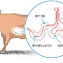 철원양평해장국 이미지
