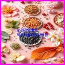 약초활용 생활건강법 이미지