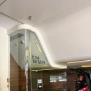 명당자리 | 홍콩 빅토리아피크 트램 명당 자리 후기 가격 옥토퍼스 결제 정보