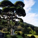 청평역관광안내소 이미지