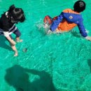 상룡농장 이미지