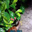 우리팜스2 이미지