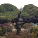 신북중학교 이미지