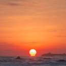 111호프로젝트 이미지