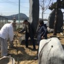 충남석물공장