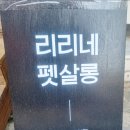 리리네 펫살롱 이미지