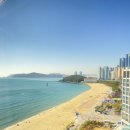 해운대도그워커 이미지