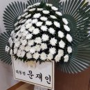 진해구 ⓒ-25 이미지