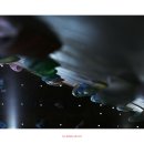 수원-0725 이미지