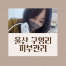 김원장면역테라피 이미지