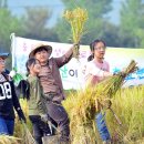 광주동초교충효분교 이미지