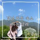 하동샬레