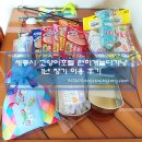 편하개 놀다가냥 | 세종시 고양이호텔ㅣ편하개놀다가냥, 추천 + 1년 장기 이용 후기