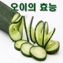 오이의 효능 이미지