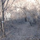 과림동주민센터 이미지