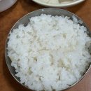 충주맛집! 기사식당 만선식당 오돼볶음 후기