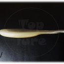 탑 피시 이미지