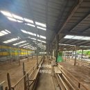 야곱농장 이미지