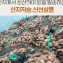 비단조개체험 네이버블로그