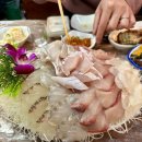 고흥상회 | 가락시장 방어 맛집 가락몰 고흥상회 모듬회 가격 구성 내돈내산 후기