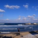 낭만 바다 이미지