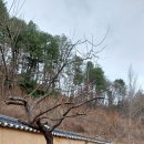 선비뜨락 이미지