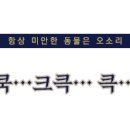 코델리아 이미지