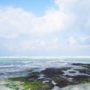 구좌 해안도로 이미지