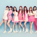 소나무PC 이미지