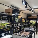 푸른사료 | 데이트로 추천하는 테라리움 원데이클래스 부천 공방 나무일기 솔직후기