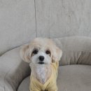 프롬율무 네이버블로그