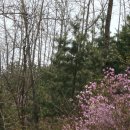 독산공원 이미지