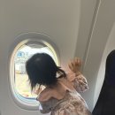 현세라믹 | 일본소도시 여행지 추천 도쿠시마 마쓰야마 요나고 비교 후기