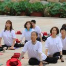 호리병라인댄스 이미지