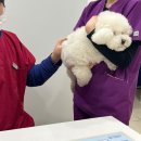 율하 위드동물병원 이미지