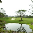 테디밸리CC 이미지