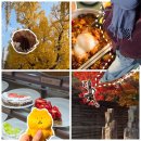 청원빌딩 화장실 | [청주] 뚜벅이로 당일치기 청주 여행 하기 : 필요한 것은 꺾이지 않는 위장