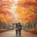 칠백의총 | 금산 칠백의총공원 단풍, 절정의 순간을 담다