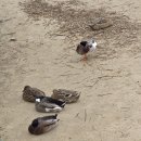 추암농장 이미지