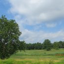 챔피언골프 이미지