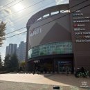 해바라기문고 | 스타필드마켓 경산점 리뉴얼 오픈 주차장 무료시간 댄싱홍콩 후기